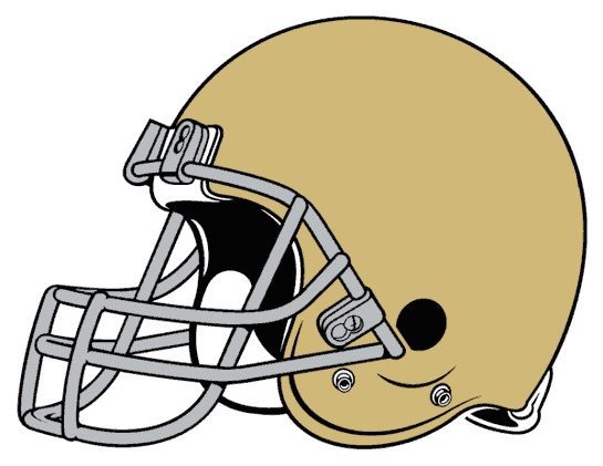 545x421 Notre Dame Football Helmet Left Batavia's Best