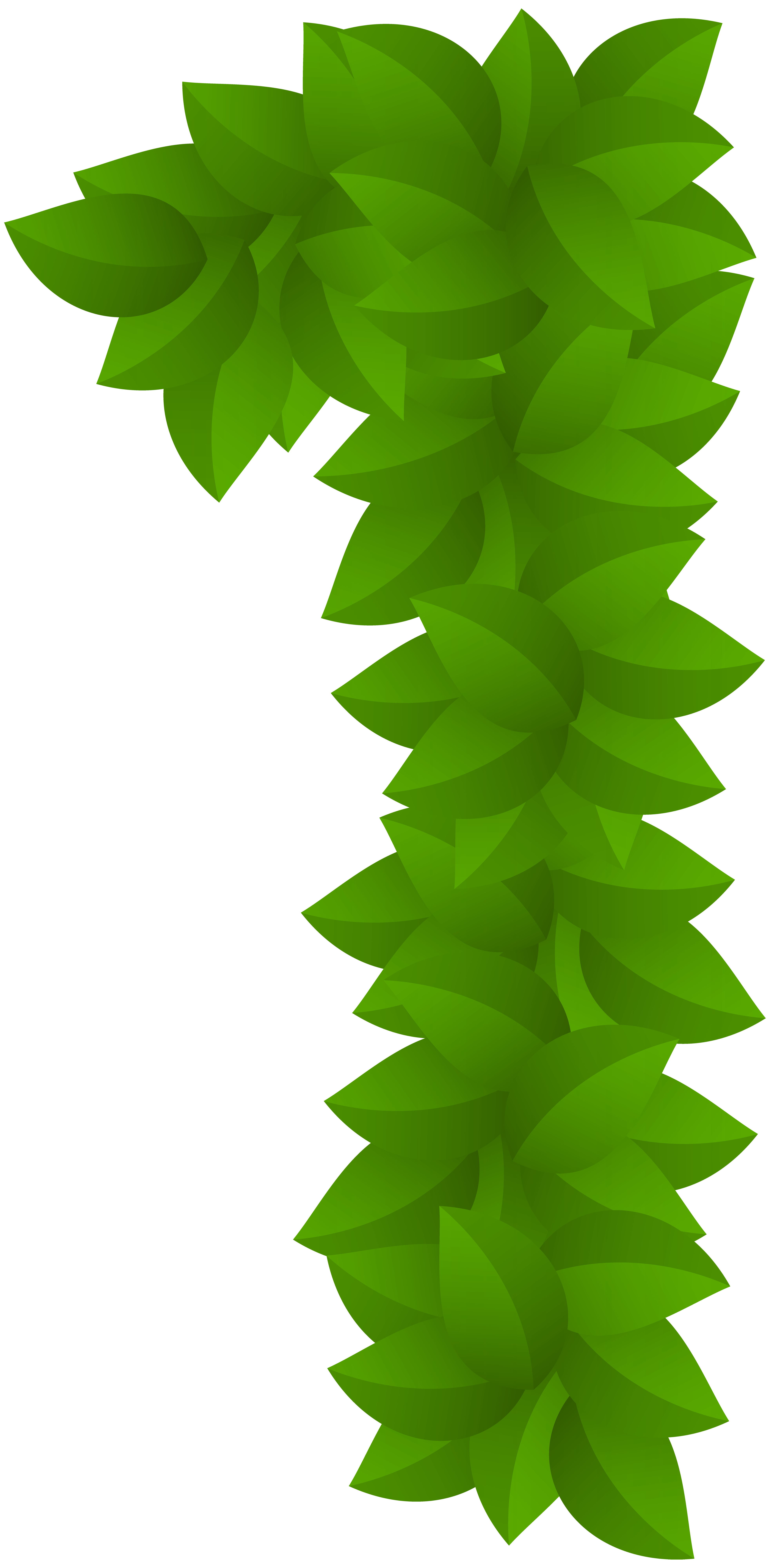 3929x8000 Leaf Number One Green Png Clip Art Imageu200b Gallery Yopriceville