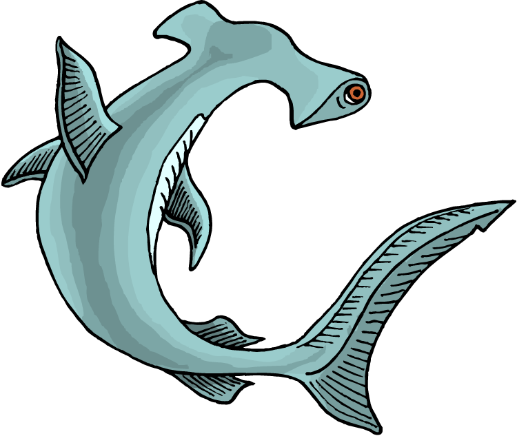 750x633 Free Shark Clipart