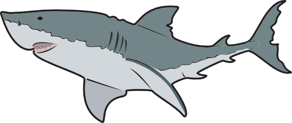 600x254 Great White Shark Clipart