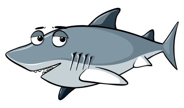 612x359 Collection Of Shark Clipart Background High Quality, Free