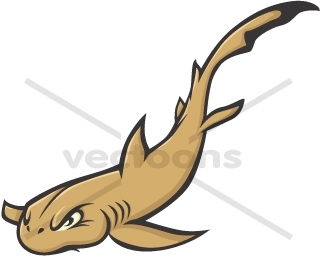 320x257 Wild Nurse Shark