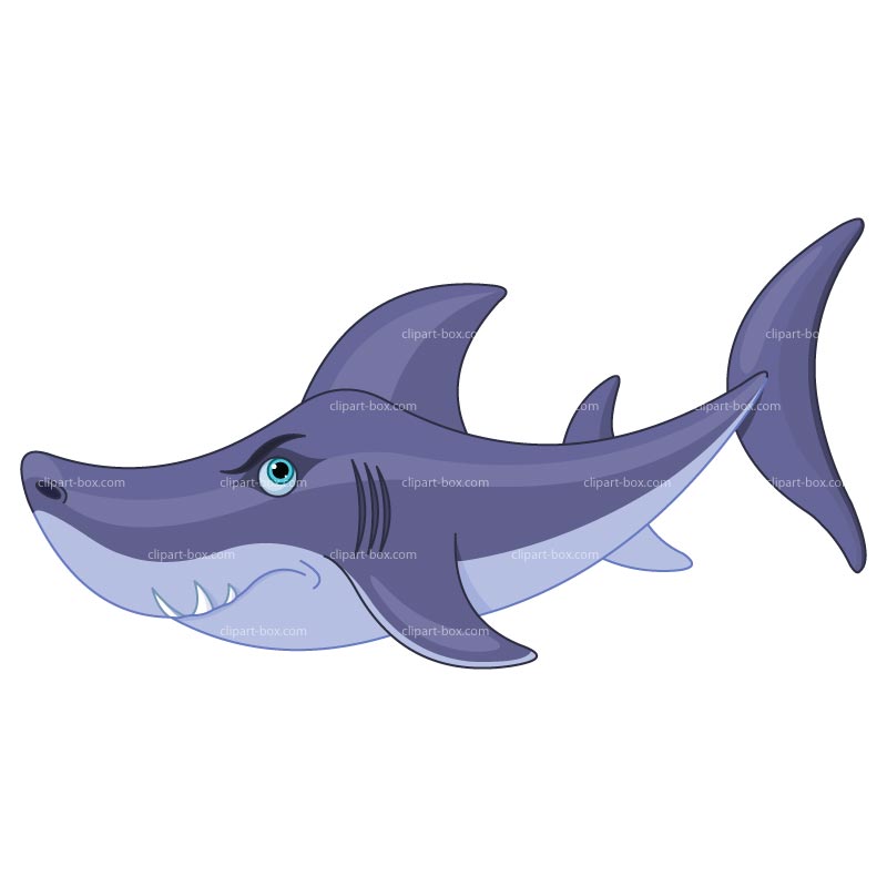 800x800 Shark Clip Art