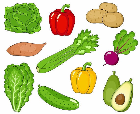 570x462 Vegetables Clip Art, Cute Veggies Clipart, Digital Clip Art