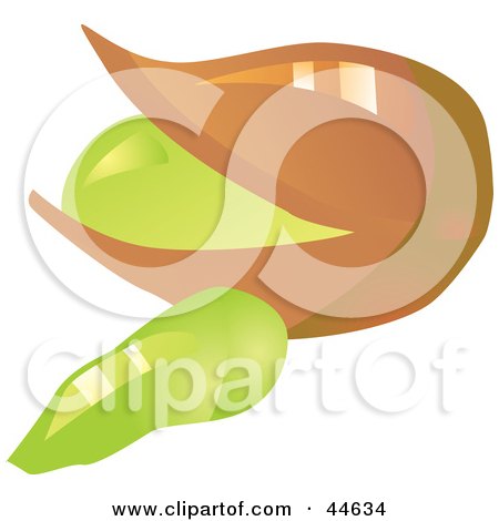 450x470 Royalty Free (Rf) Clipart Of Pistachio Nuts, Illustrations, Vector