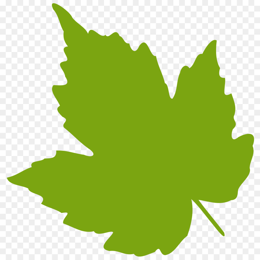 900x900 Grape Leaves Clip Art