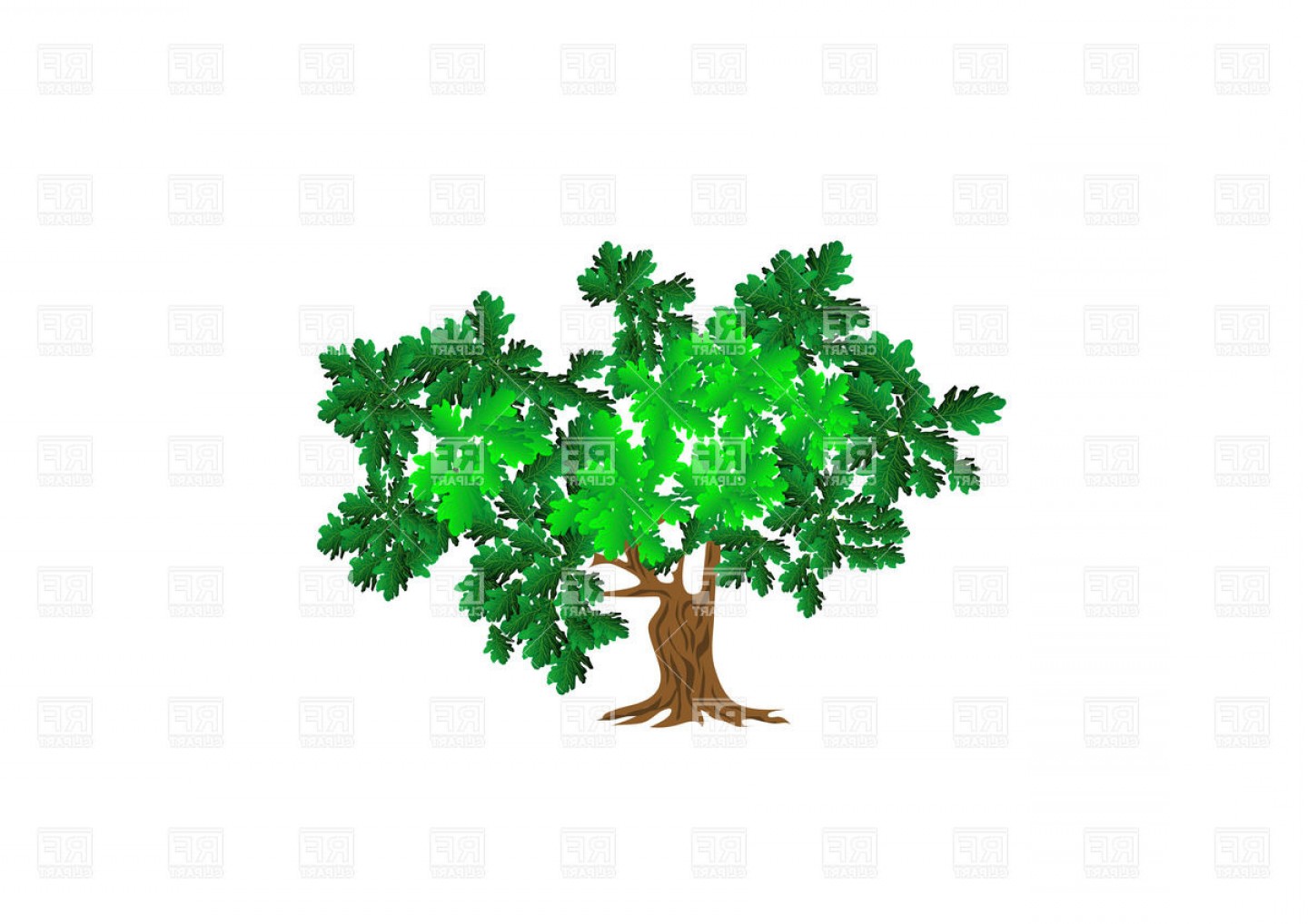 1440x1018 Green Oak Tree Vector Clipart Createmepink