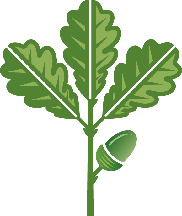 580x686 Oak Leaves Clip Art