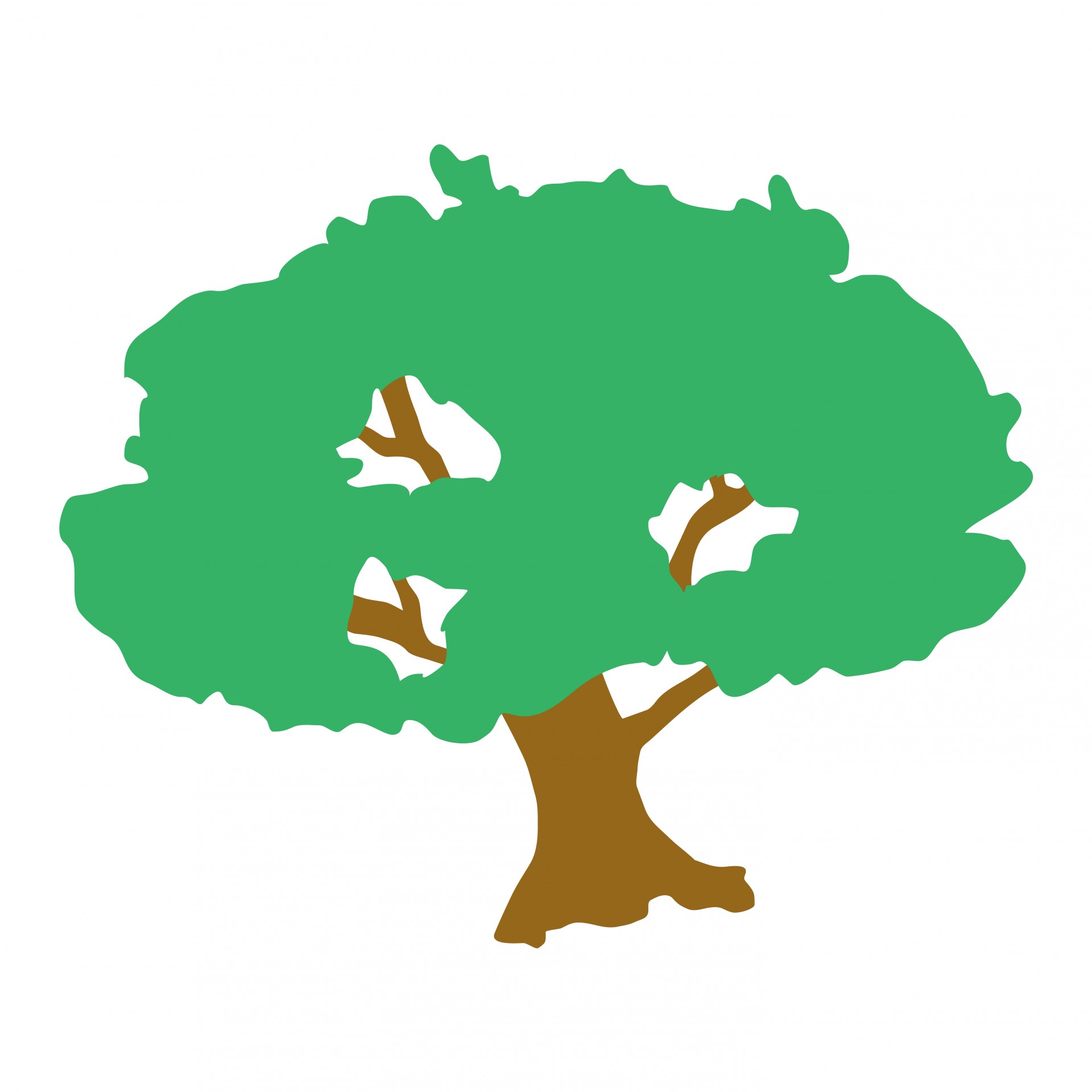 1920x1920 Oak Tree Clipart 5158470