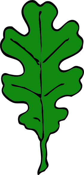 282x589 Oak Tree Leaf Clipart