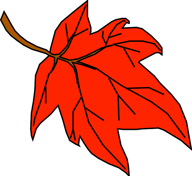 640x585 Leaf Cartoon