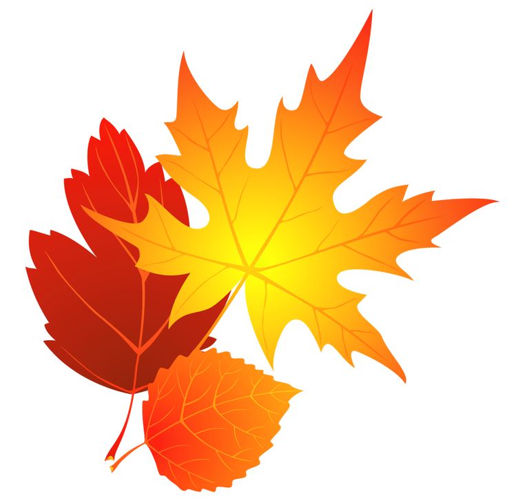 736x729 Turning Leaves Clipart