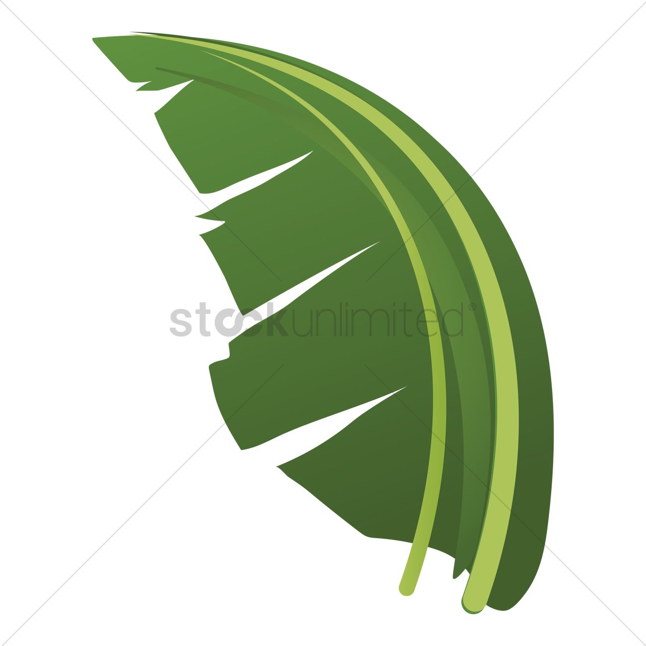 1300x1300 White Oak Leaf Clip Art. Cartoon Wooden Materials Lumber Firewood