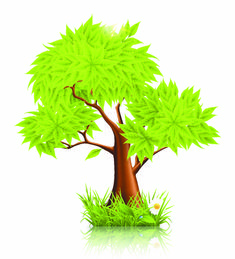 235x259 Oak Tree Clip Art Free Tree Clipart Clip Art