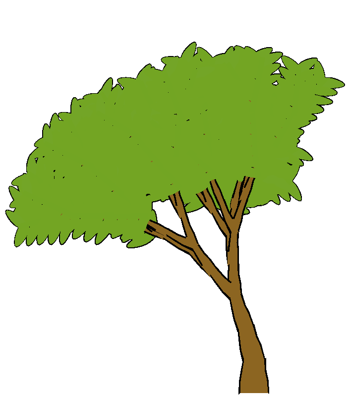 704x813 Tree Cartoon Png Free Download Clip Art Free Clip Art