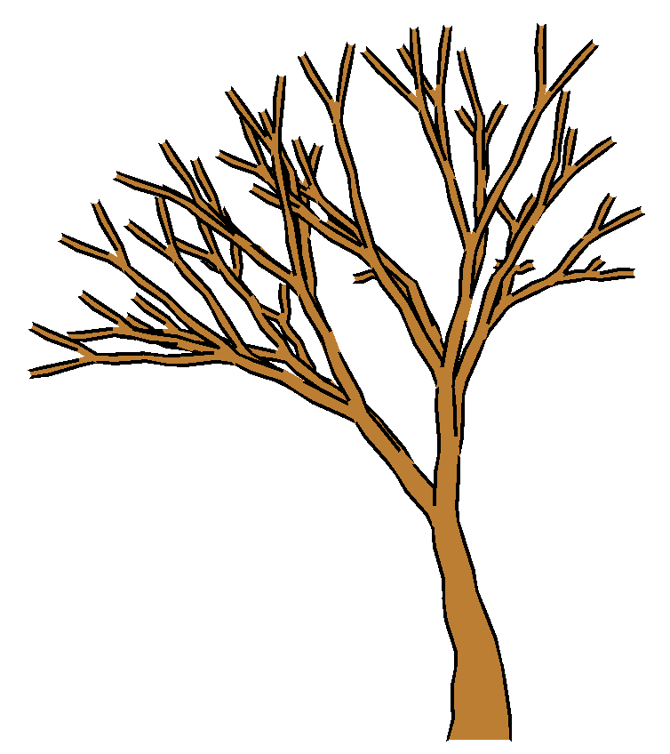 754x848 Tree Clipart No Leaves 101 Clip Art