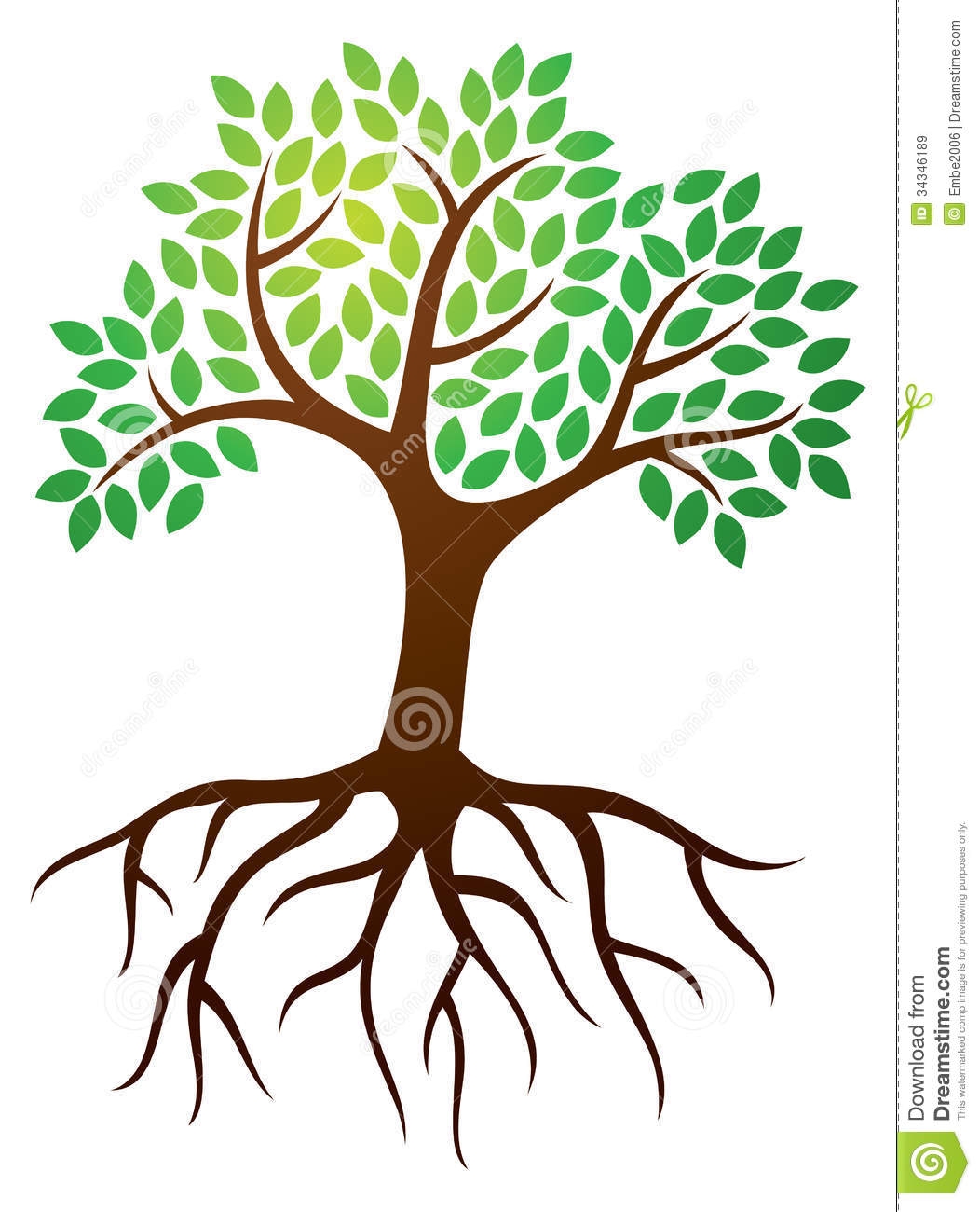 1052x1300 Collection Of Oak Tree With Roots Clipart High Quality, Free