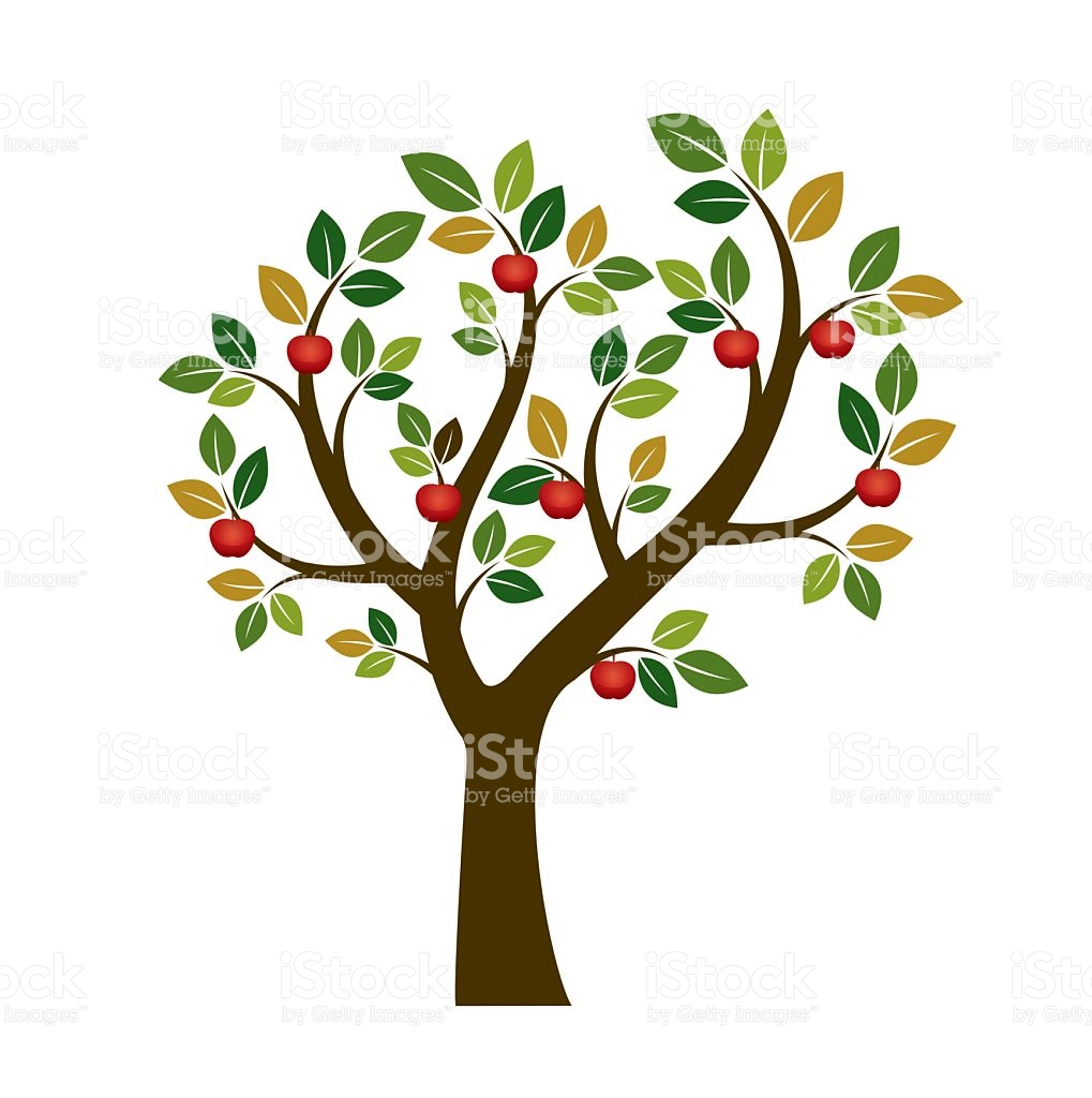 1019x1024 Roots Clipart Fruitful Tree 3864125