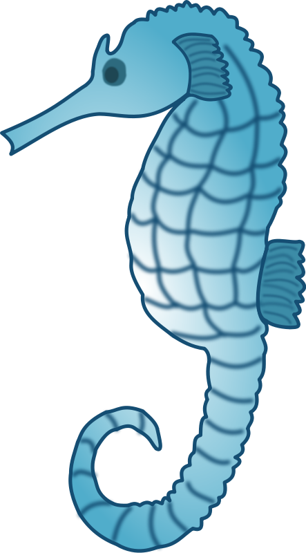 443x800 Sea Creatures Clipart