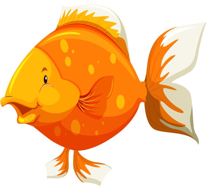 736x657 430 Best Clipart Fish And Sea Images On Pisces, Tube