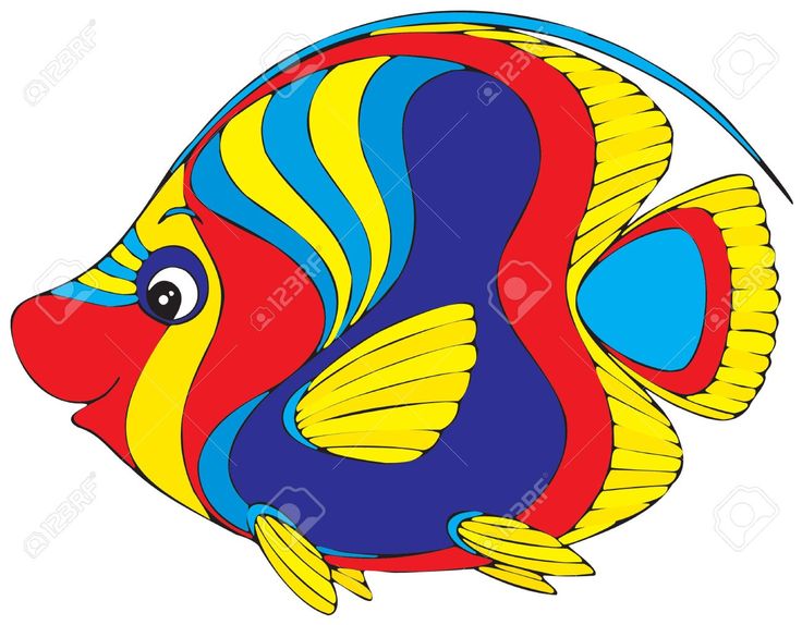 736x574 Butterflyfish Clipart Ocean Creature