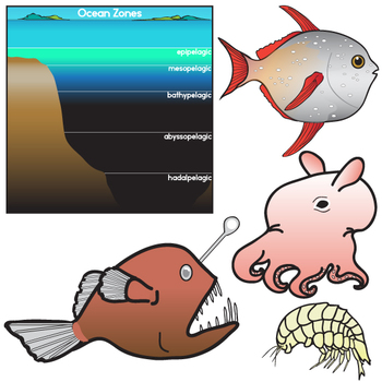 350x350 Ocean Zones And Creatures Clip Art Set