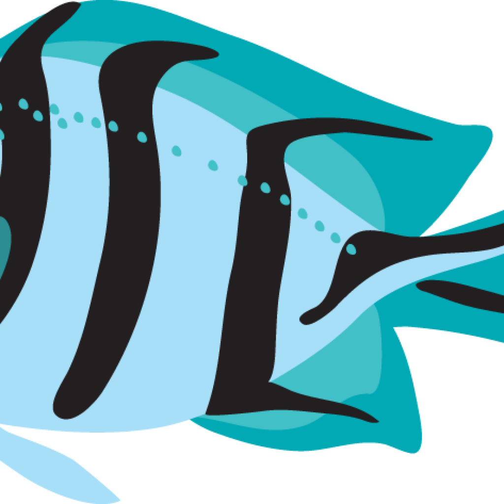 1024x1024 Fish Clipart Cow Clipart