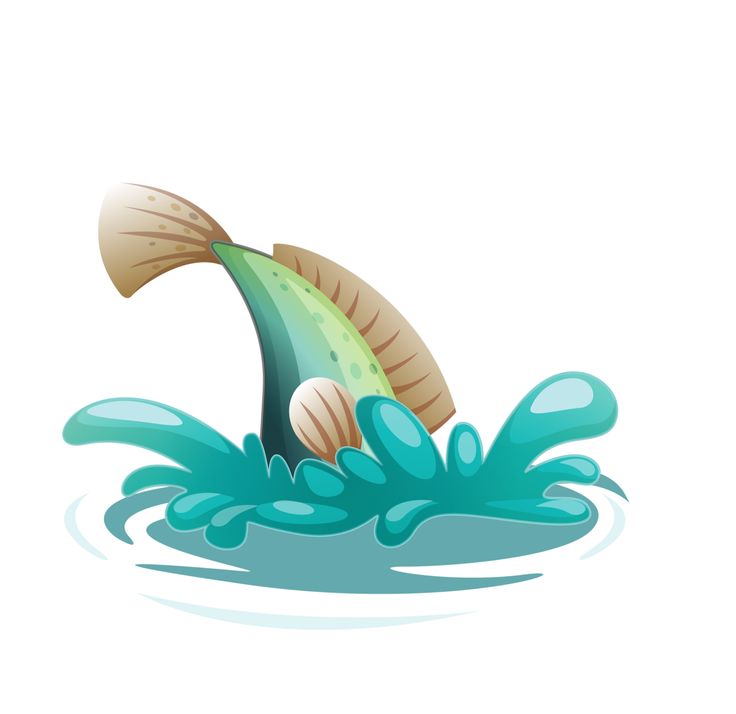 736x714 502 Best Sea Animal Images On Water Animals, Rock