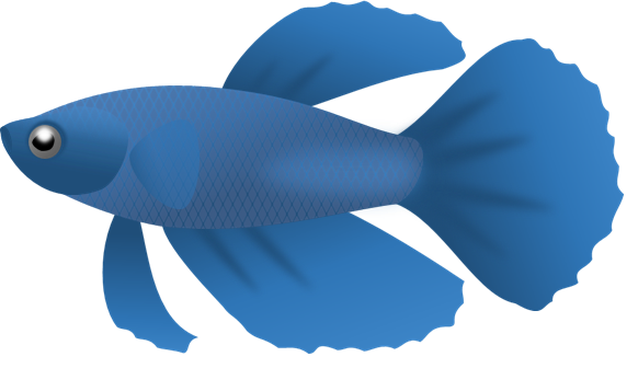 582x336 Blue Fish Png Clipart Png Mart