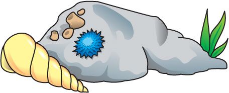 456x185 Ocean Floor Clipart Group