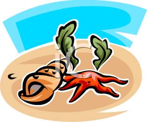 300x250 A Shell And A Starfish On The Ocean Floor Clipart Image