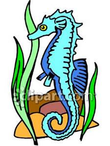 225x300 Blue Seahorse At The Ocean Floor With Seaweed And Rocks