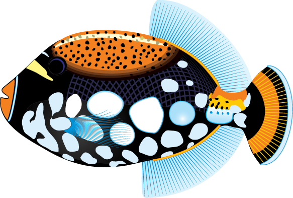 583x393 Ocean Life Clip Art Clipart Panda