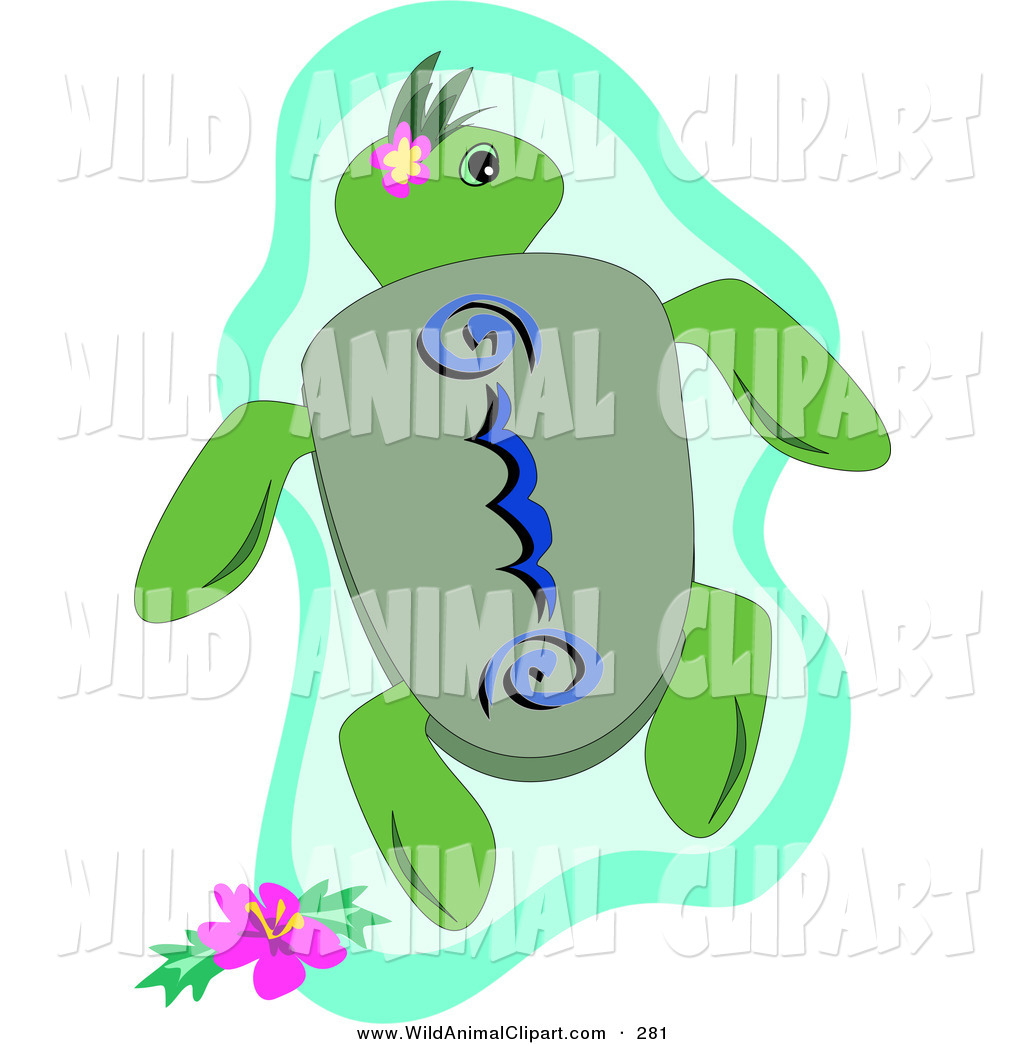 1024x1044 Royalty Free Ocean Life Stock Wildlife Designs