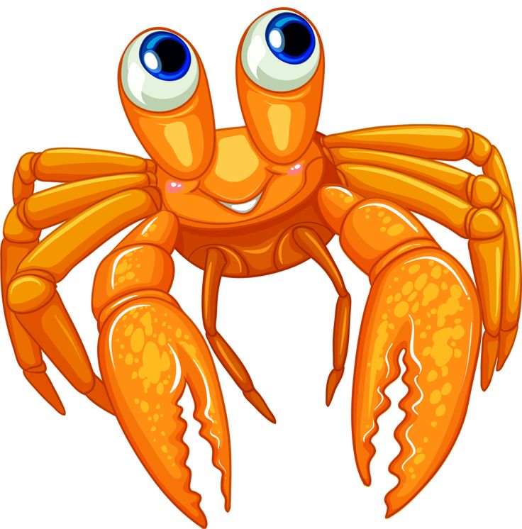 736x746 874 Best Images On Molde