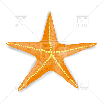 400x400 Orange Starfish Royalty Free Vector Clip Art Image