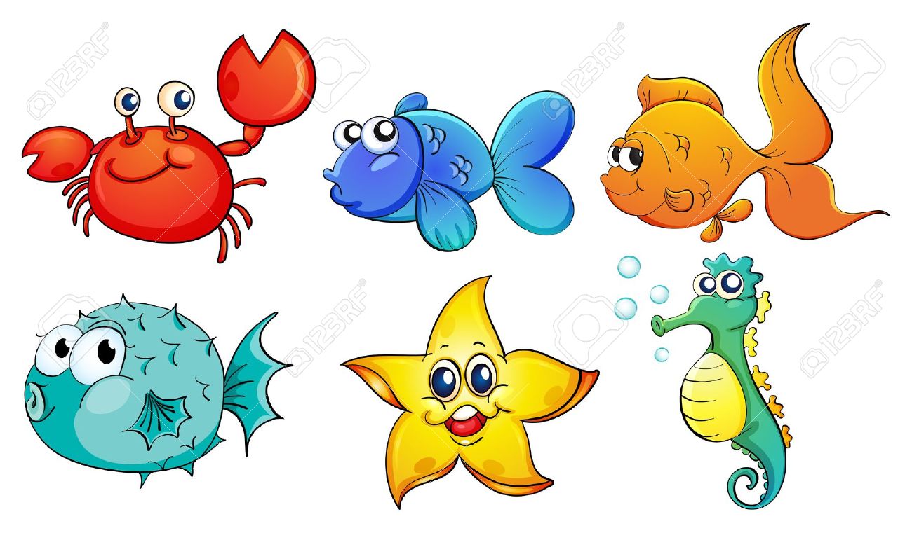 1300x761 Sea Creature Clipart