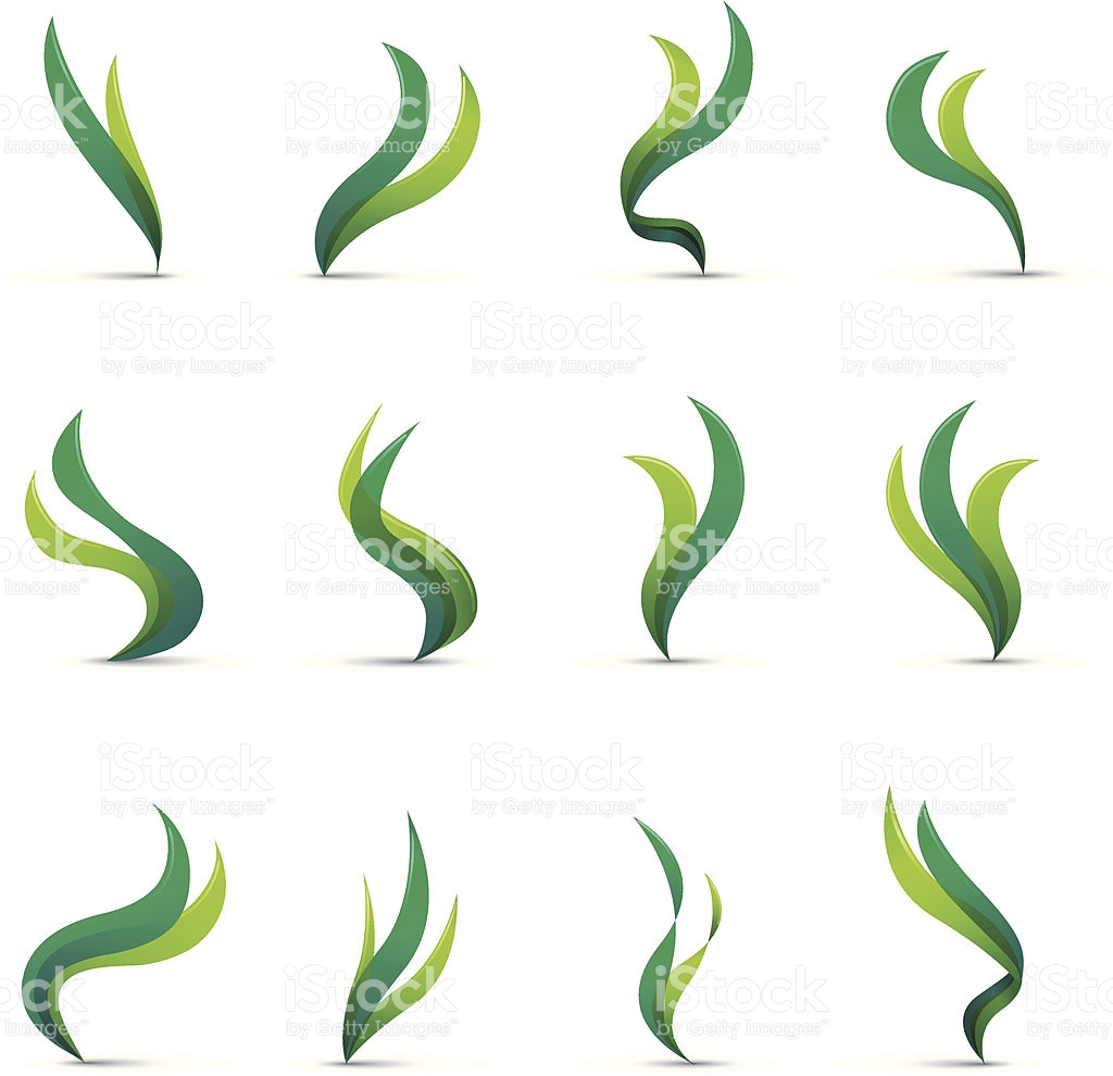 1024x990 Seaweed Clipart Aquatic Plant