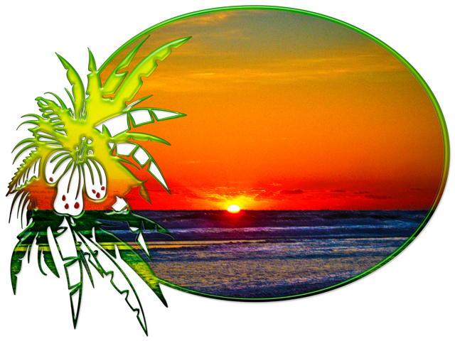 640x480 Sunrise Clipart Ocean'65182