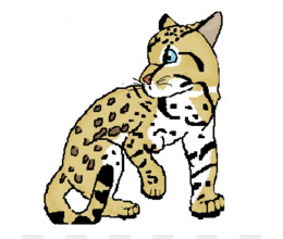 260x220 Free Download Ocelot Felidae Jaguar Clip Art