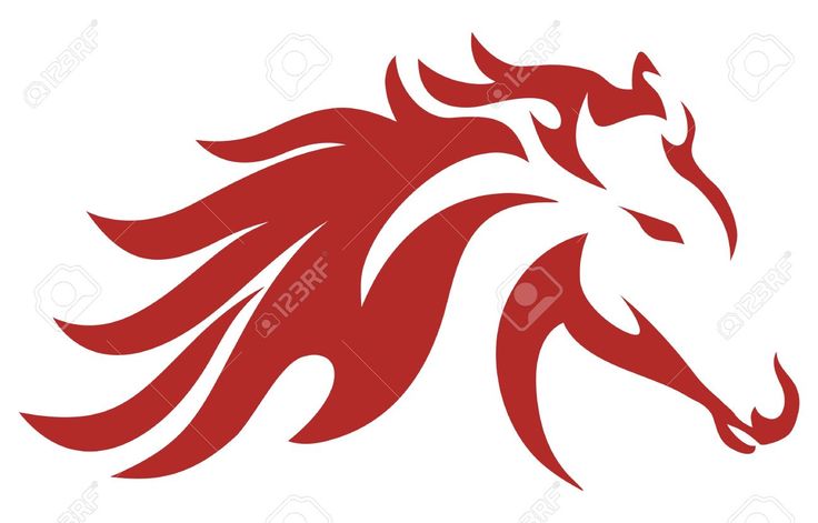 736x471 7 Best Clipart Images On Lion, Animaux And Big Cats