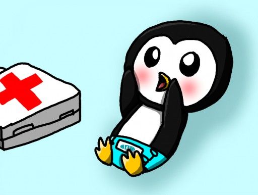 512x386 Peso Is Now Officially The World's Most Adorable Baby Penguin. Lt3