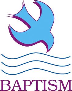 236x301 Designed By The Top Rider, Dirk Demeersman, This Saddle Is Made