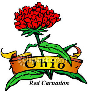 292x300 State Flower Of Ohio, The Red Carnation