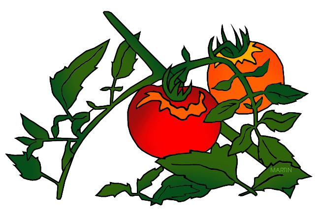 648x441 Fruit Clipart Phillip Martin