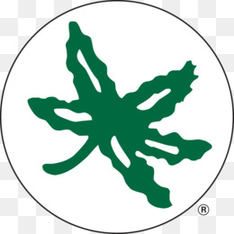 260x260 Ohio State University Ohio State Buckeyes Football Ohio Buckeye