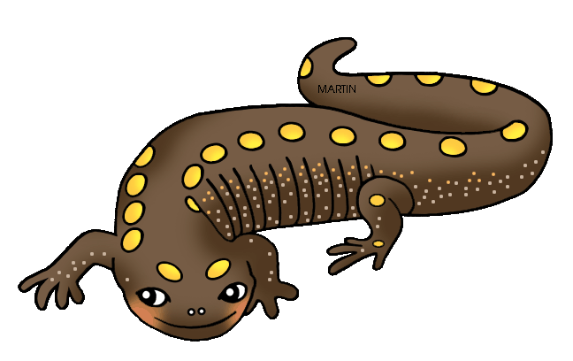 648x408 United States Clip Art By Phillip Martin, Ohio State Amphibian