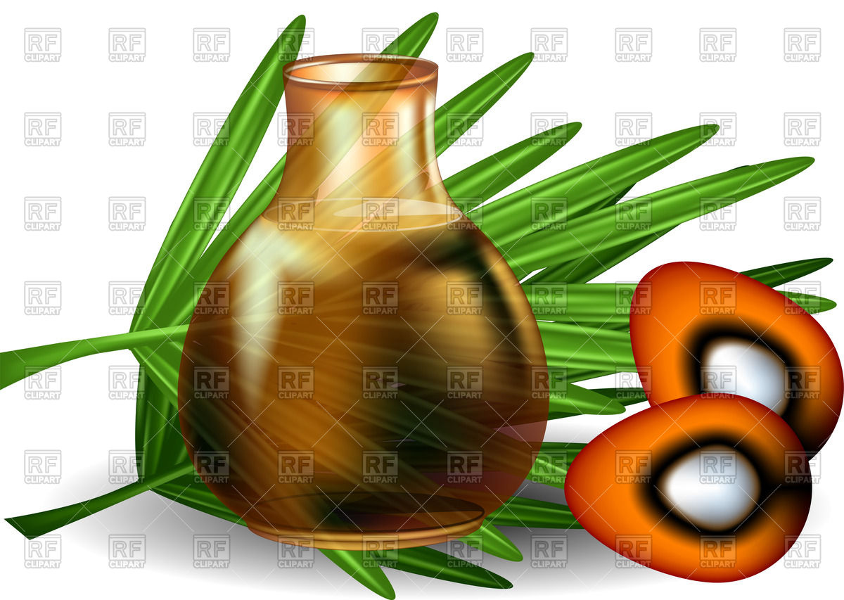 1200x853 Palm Oil With Palm Leaves On White Background Royalty Free Vector