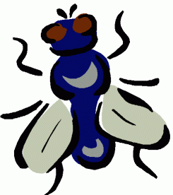 245x276 Flying Clipart Flew