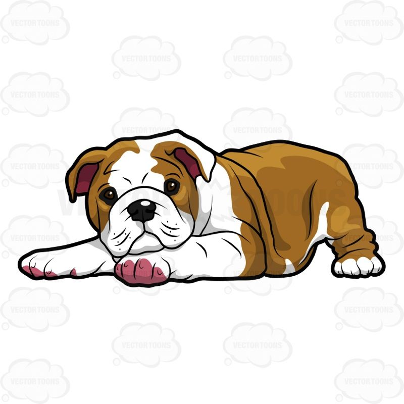 800x800 English Dog Clip Art